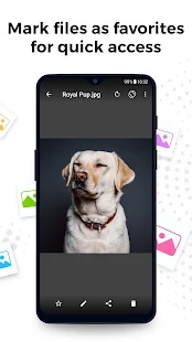 Screenshot Image