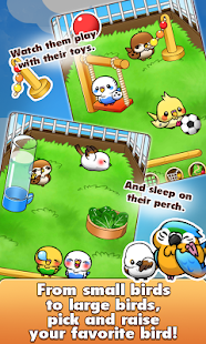   Bird Life- screenshot thumbnail   