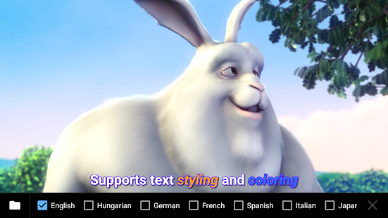 Screenshot Image