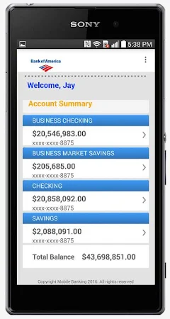 Fake Bank v133.07